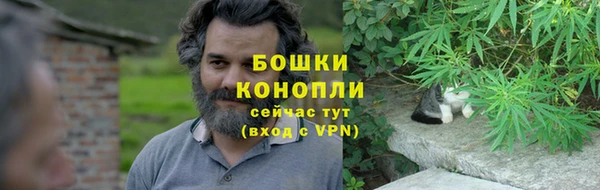 прущие грибы Вязьма