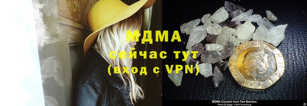 прущие грибы Вязьма