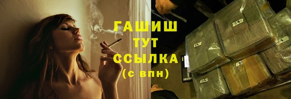 прущие грибы Вязьма
