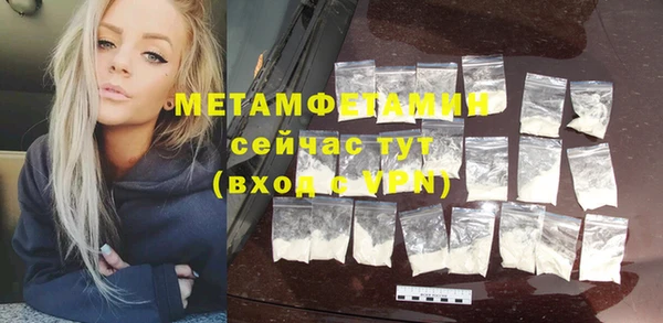 прущие грибы Вязьма