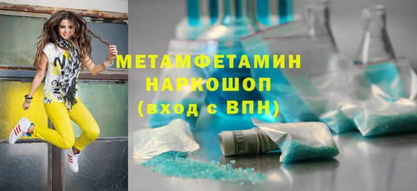 прущие грибы Вязьма