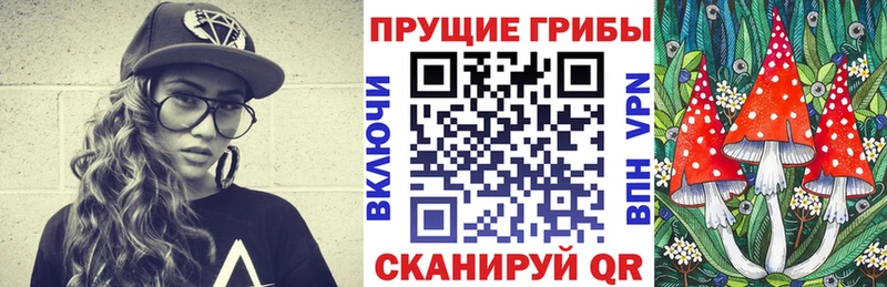 Псилоцибиновые грибы Cubensis  Кисловодск 