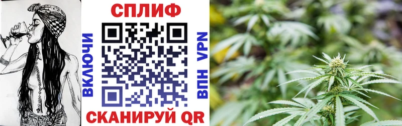 хочу Кисловодск это наркотические препараты Каннабис сатива